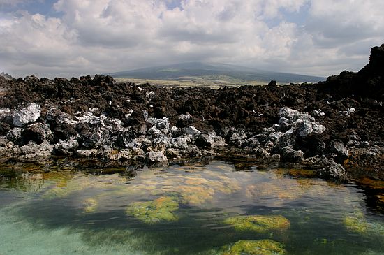 Anachialine pond - Makalawena